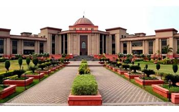 पानी से भरे गड्ढों में हाथियों की मौत पर हुई सुनवाई — हाईकोर्ट ने जताई सख्त नाराजगी, सरकार से शपथ पत्र के जरिए मांगा स्पष्टीकरण