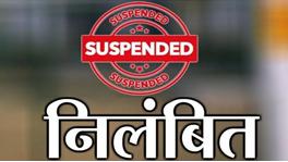 धान खरीदी में बड़ी लापरवाही: घर बैठे टोकन सत्यापन कर रहे पटवारी, SDM ने दो को किया निलंबित