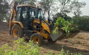 अफीम की अवैध खेती पर बुलडोजर एक्शन, प्रशासन करेगा विनिष्टीकरण की कार्रवाई