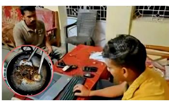 कुरदर वैली रिसॉर्ट में हिरण मांस कांड: वन विभाग की दबिश, मैनेजर समेत 4 आरोपी गिरफ्तार