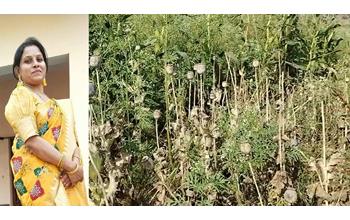 कृषि विस्तार अधिकारी की सेवा बहाल, अब तक 7 लोग गिरफ्तार