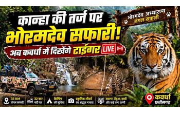 कवर्धा में जल्द शुरू होगी जंगल सफारी: 35 किमी का रोमांचक रूट तैयार, 22 बार नदी पार करने का अनुभव, जानिए इसकी खासियत…