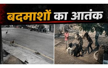 बदमाशों का तांडव: युवकों को मालवाहक से कुचलने की कोशिश, फिर दौड़ा-दौड़ाकर बेरहमी से पीटा