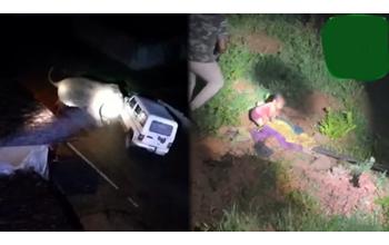 हाथी के हमले में महिला की मौत, बचने की कोशिश के दौरान हुई गंभीर रूप से घायल
