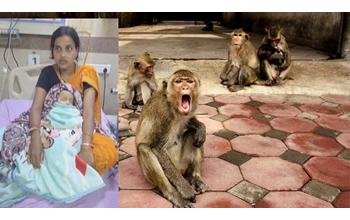 5 माह के मासूम को पानी से भरे ड्रम में फेंका, गंभीर हालत में जिला अस्पताल में भर्ती