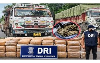 गांजा तस्करी पर DRI की बड़ी कार्रवाई, पटना में टीम पर हमला से रायपुर की बड़ी जब्ती तक; जानिए पूरा नेटवर्क
