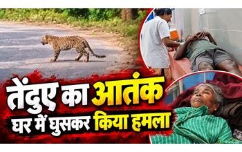 तेंदुए का आतंक: घर में घुसकर तीन लोगों पर किया हमला, दहशत में ग्रामीण