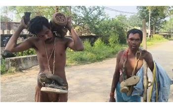 पंप चोरी के आरोपियों को ग्रामीणों ने पहनाई जूतों की माला, गांव में घुमाया; वीडियो वायरल